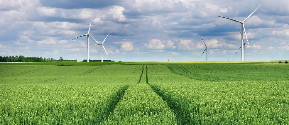 Standing Group on Environmental Politics Online Seminar Series